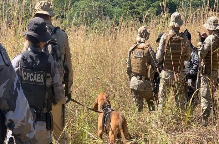 Caçador é Chamado Para Ajudar Em 13º Dia De Buscas Por Lázaro Em Go